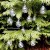 Christbaumkugeln 12 Stück, durchscheinend, runde Weihnachtsbaumkugeln aus Glas, Baumschmuck, 6 cm - 4