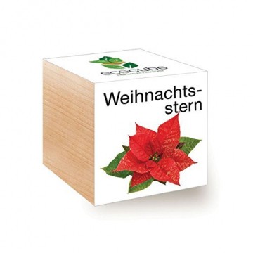 Ecocube Weihnachtsstern im Holzwürfel - 1