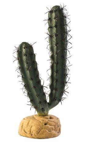Exo Terra Planta Finger Cactus Pt2983 - 1