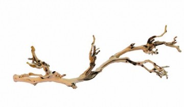 Exo Terra Reptile Forest Branch Large-Large - 1