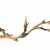 Exo Terra Reptile Forest Branch Large-Large - 1