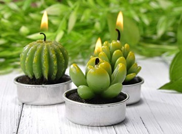 LA BELLEFÉE Kerzen Kaktus Teelicht Kerzen Sukkulenten Kerzen rauchfreie Kerzen für Home Dekoration und Weihnachten Geschenke - 6er Set - 2