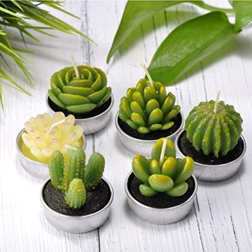 LA BELLEFÉE Kerzen Kaktus Teelicht Kerzen Sukkulenten Kerzen rauchfreie Kerzen für Home Dekoration und Weihnachten Geschenke - 6er Set - 3