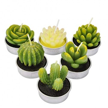 LA BELLEFÉE Kerzen Kaktus Teelicht Kerzen Sukkulenten Kerzen rauchfreie Kerzen für Home Dekoration und Weihnachten Geschenke - 6er Set - 1
