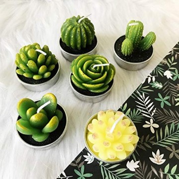 LA BELLEFÉE Kerzen Kaktus Teelicht Kerzen Sukkulenten Kerzen rauchfreie Kerzen für Home Dekoration und Weihnachten Geschenke - 6er Set - 5