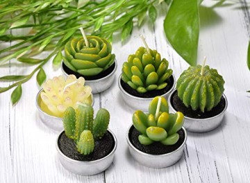 LA BELLEFÉE Kerzen Kaktus Teelicht Kerzen Sukkulenten Kerzen rauchfreie Kerzen für Home Dekoration und Weihnachten Geschenke - 6er Set - 6