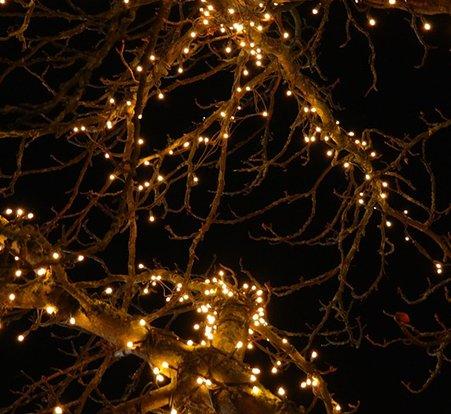 LED Lichterkette Weihnachtsbaum Tannenbaum Beleuchtung  Christbaumbeleuchtung - mit 16 Girlande & 400 LEDs für Outdoor Baum  Christbaum Deko Warmweiss Weihnachtsbaumbeleuchtung Innen Außen • Silke  Meierstein