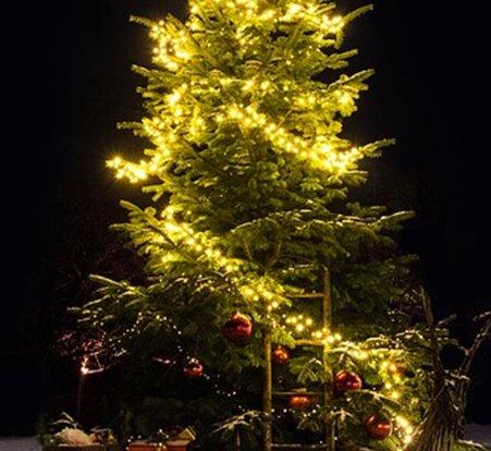 https://www.weihnachtsdekowelt.de/wp-content/uploads/2020/05/lichterketteweihnachtsbaum-1.jpg