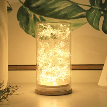 SALCAR 10m 100er LED Lichterkette Stern Kupfer USB-Schnittstelle, Wasserdicht LED Draht Micro Weihnachtsbeleuchtung für Innen- und Außenbereich - 5