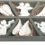 small foot Deko-Hänger aus weißem Holz in Engels-Form, in unterteilter Holzbox im Shabby-Chic Look, wunderschöne Weihnachtsdeko für Baum und Fenster Dekoornament, 24 x 19 x 2 cm - 1