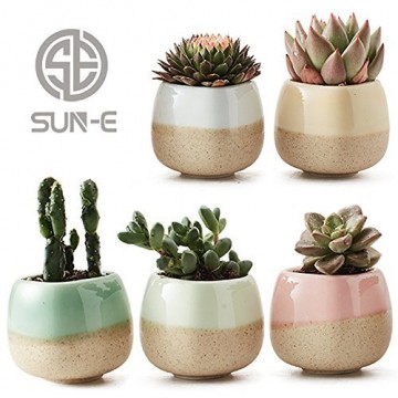 SUN-E 5 in Set 5.6 cm Gefäß Übertopf Keramik Fließlasur 5-Farben-Basisserie Set Sukkulenten Topf Kaktus Blumentopf Perfekte Geschenkidee - 1