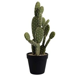 ASA Künstlicher Kaktus, Plastik, Grün, 14 x 14 x 41 cm - 1