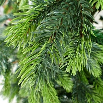 Gartenpirat 180cm BonTree Tanne Weihnachtsbaum Tannenbaum künstlich aus Spritzguss/PVC-Mix - 2