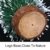 ghhshjhlk Mini Weihnachtsbaum Mit Licht Lampe Perfekt Für Ihr Zuhause Oder Büro Dekor Mehrfarbig 15 cm - 3