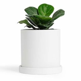 Greenaholics Blumentöpfe – 10,9 cm Keramik matte Oberfläche Zylinder-Keramik Pflanzgefäße für Sukkulenten, Kaktus, Blumen, mit Drainageloch und Tablett, matt weiß - 1