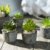 Jobary Set mit 5 künstlichen Sukkulenten mit Töpfen (einschließlich 10 Pflanzen), Bunten und Dekorativen Fälschung Sukkulentenmit Steinen, ideal für Zuhause, Büro und Dekor im Freien - 2