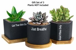 Sukkulenten-Übertopf, Kaktus-Topf, 7 cm, für Sukkulenten, Kräuter, Mini-Blumen, Pflanzen, Bambus-Tablett, 3er-Set - 1