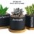 Sukkulenten-Übertopf, Kaktus-Topf, 7 cm, für Sukkulenten, Kräuter, Mini-Blumen, Pflanzen, Bambus-Tablett, 3er-Set - 1