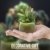 Sukkulentententöpfe 6 Stück – Mini Keramiktöpfe 6,4 cm, kleine Blume, Pflanzgefäß, Bonsai, Kaktus-Topf mit Loch – perfekte dekorative Geschenkidee - 3