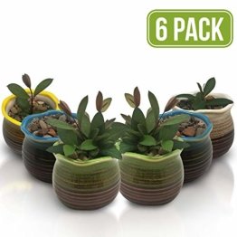 Sukkulentententöpfe 6 Stück – Mini Keramiktöpfe 6,4 cm, kleine Blume, Pflanzgefäß, Bonsai, Kaktus-Topf mit Loch – perfekte dekorative Geschenkidee - 1