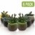 Sukkulentententöpfe 6 Stück – Mini Keramiktöpfe 6,4 cm, kleine Blume, Pflanzgefäß, Bonsai, Kaktus-Topf mit Loch – perfekte dekorative Geschenkidee - 1