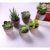T4U 6er Set Mini Künstliche Sukkulenten Dekorative Kunstpflanze Bonsai mit Topf - Sammlung 1 - 3