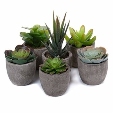 T4U 6er Set Mini Künstliche Sukkulenten Dekorative Kunstpflanze Bonsai mit Topf - Sammlung 1 - 1