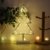 ZHANGYY LED Weihnachtsbaum geformte Nachtlicht Innenwand Dekor Licht betrieben von Batterie für Geburtstagsfeier Dekoration, Kinderzimmer, Wohnzimmer, Hochzeitsfeier Dekor - 4