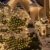 23m 360er LED Niedervolt Lichterkette wasserdichte dekorative Leuchten LED String Licht Wünderschöne Deko für Weihnachten, Hochzeit, Zuhause, Garten, Balkon, Terrasse - Warmweiß - 2