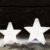 8 seasons design| Kleiner LED Stern Shining Star Micro XS (9,5 cm, Neu mit Batterie-Schutzfolie, kabellos, Dekostern, Sterngeschenk, Mitbringsel) weiß - 2