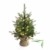 artplants.de Künstlicher Weihnachtsbaum Wellington, 35 LED's, 185 Zweige, 60cm, Ø 50cm - Kunst Tannenbaum - Deko Christbaum - 1