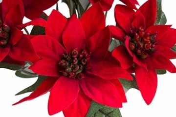 Botanic-Haus künstlicher Edel-Mini-Poinsettienbusch (Weihnachtsstern) mit 7 Blüten, samtig Farbe: rot - 3