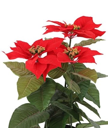 Closer 2 Nature FT035RD künstliche Blumen Künstliche Poinsettie, 44 cm, rot - 3