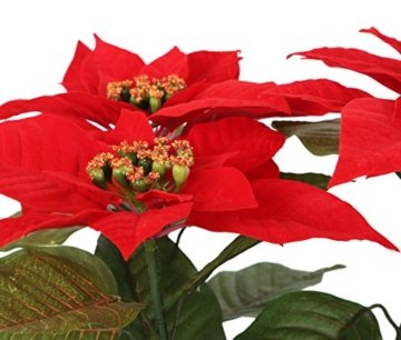 Closer 2 Nature FT035RD künstliche Blumen Künstliche Poinsettie, 44 cm, rot - 4