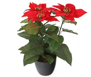 Closer 2 Nature FT035RD künstliche Blumen Künstliche Poinsettie, 44 cm, rot - 5