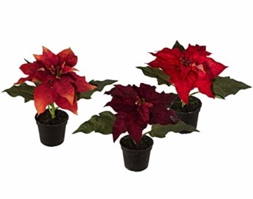 creativ home Kunstblume POINSETTIE im Topf ca 16 cm. Set mit 3 STÜCK. Weihnachtsstern, Adventsstern, Christstern ca 16 cm. 1317522-00 - 1