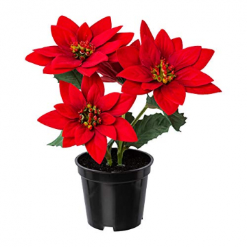 creativ home Kunstblume POINSETTIE im Topf. Weihnachtsstern, Adventsstern, Christstern ca 20 cm. 3020631-01 - 