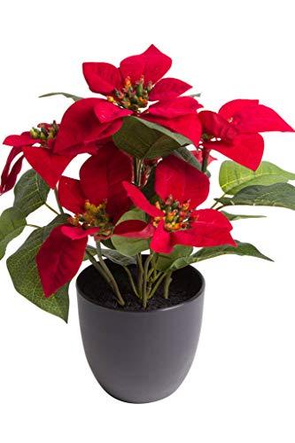 DPI künstliche Poinsettie/Weihnachtsstern im schwarzen Kunststofftopf (ca. 25 x 30 cm) - 1