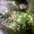 FairyTrees künstlicher Weihnachtsbaum im Topf FICHTE NATURSTAMM, Grün, Material PVC, Baumstamm aus echtem Holz, 150cm, FT20-150 - 3