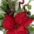 Flair Flower Gesteck Weihnachtsstern auf Apfel-Topf Poinsettie Kunstblume Weihnachtsblume Winterblume Blume Pflanze Arrangement Weihnachtsdeko Tischdeko, rot, 33x23x11 cm - 3