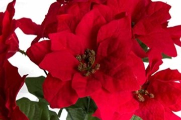 Jasaco künstlicher Poinsettienbusch (Weihnachtsstern) mit 9 Blüten, samtig Farbe: rot - 2