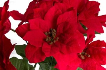 Jasaco künstlicher Poinsettienbusch (Weihnachtsstern) mit 9 Blüten, samtig Farbe: rot - 2