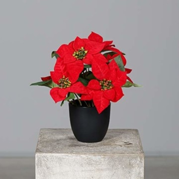 mucplants Künstlicher Weihnachtsstern Poinsettie Rot 29cm im schwarzen Kunststofftopf Kunstpflanze Dekopflanze - 1