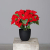 mucplants Künstlicher Weihnachtsstern Poinsettie Rot 37cm im schwarzen Kunststofftopf Kunstpflanze Dekopflanze - 