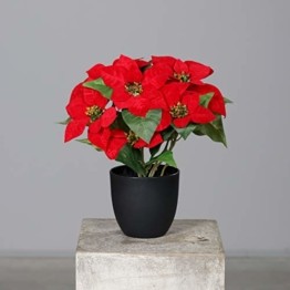 mucplants Künstlicher Weihnachtsstern Poinsettie Rot 37cm im schwarzen Kunststofftopf Kunstpflanze Dekopflanze - 1