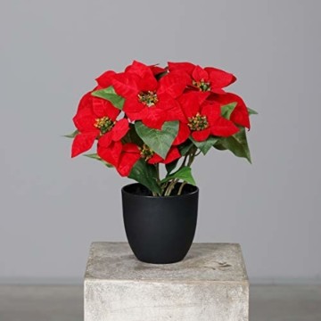 mucplants Künstlicher Weihnachtsstern Poinsettie Rot 37cm im schwarzen Kunststofftopf Kunstpflanze Dekopflanze - 1