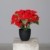 mucplants Künstlicher Weihnachtsstern Poinsettie Rot 37cm im schwarzen Kunststofftopf Kunstpflanze Dekopflanze - 1