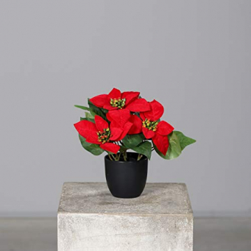 mucplants Künstlicher Weihnachtsstern Poinsettie Rot Höhe 25cm im schwarzen Kunststofftopf Kunstpflanze Dekopflanze - 