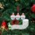 Sallyohno Christbaumschmuck Personalisiert Überlebt Familie Von Ornament 2020 Weihnachten Urlaub Dekorationen Anhänger (B) - 2