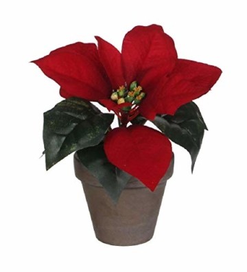 Schreiber Deko Künstlicher Weihnachtsstern im Topf/rot/Ø 20 cm/Höhe 17 cm - 1